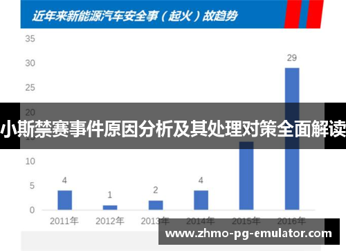 小斯禁赛事件原因分析及其处理对策全面解读