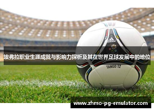 埃弗拉职业生涯成就与影响力探析及其在世界足球发展中的地位