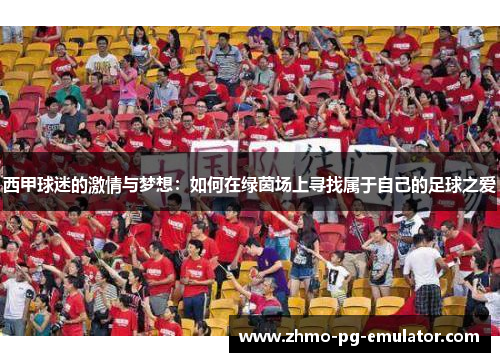 西甲球迷的激情与梦想：如何在绿茵场上寻找属于自己的足球之爱