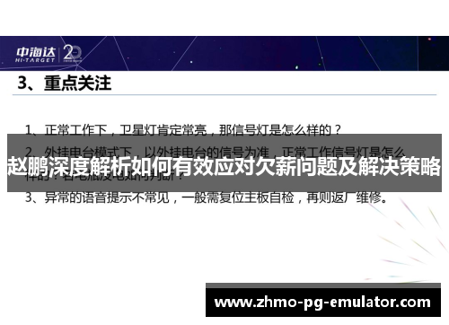 赵鹏深度解析如何有效应对欠薪问题及解决策略