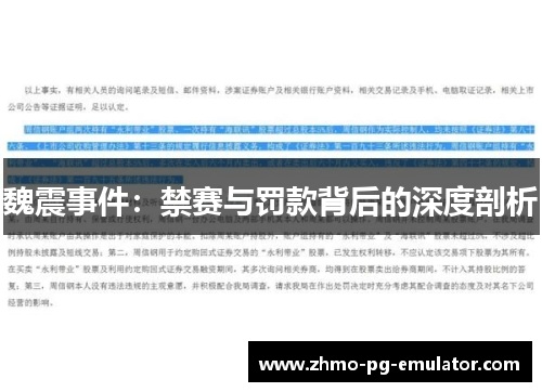 魏震事件：禁赛与罚款背后的深度剖析