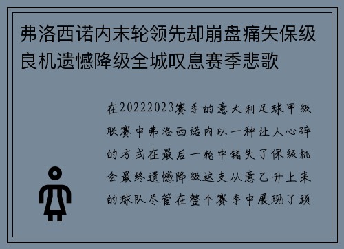 弗洛西诺内末轮领先却崩盘痛失保级良机遗憾降级全城叹息赛季悲歌